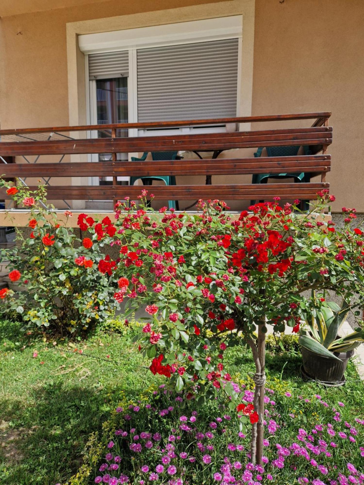 Guesthouse Irac Тузла Экстерьер фото